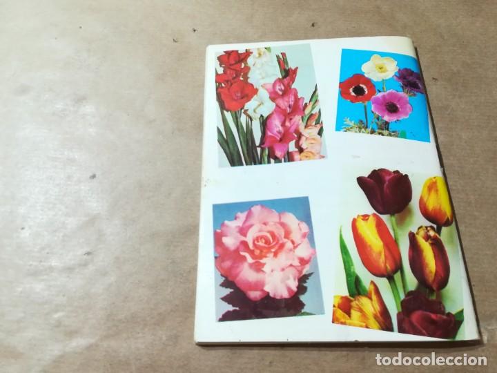Libros de segunda mano: PLANTAS BULBOSAS / AQ602 / 58 KANDA - Foto 15
