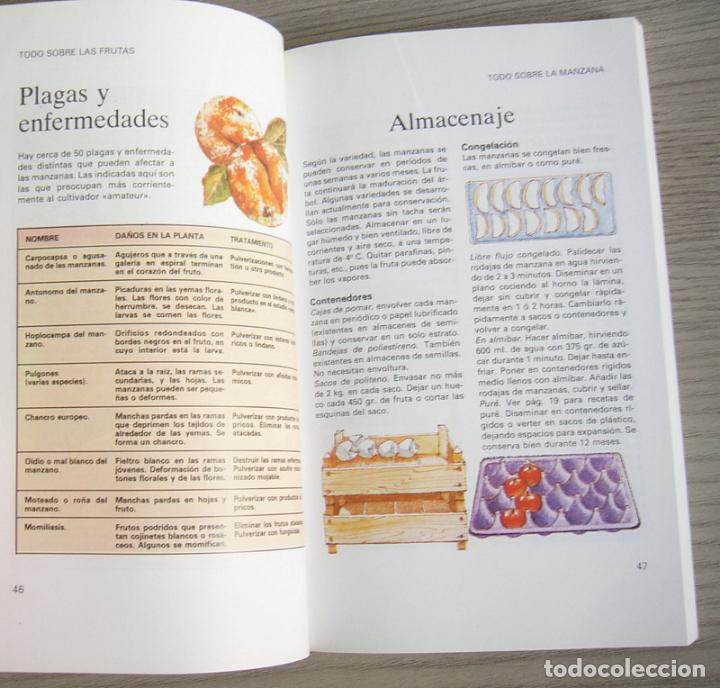 Libros de segunda mano: TODO SOBRE FRUTAS - CAROLINE FRANCIS - EDITORIAL EDAF. 2000 - Foto 3