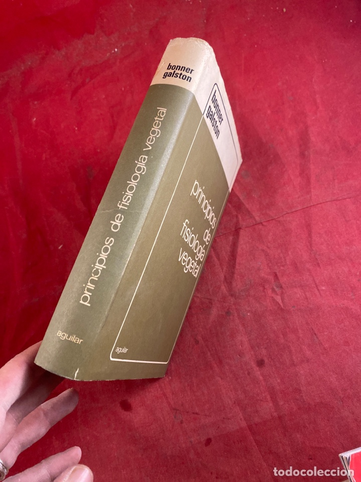 Libros de segunda mano: PRINCIPIOS DE FISIOLOG&Iacute;A VEGETAL - Foto 3