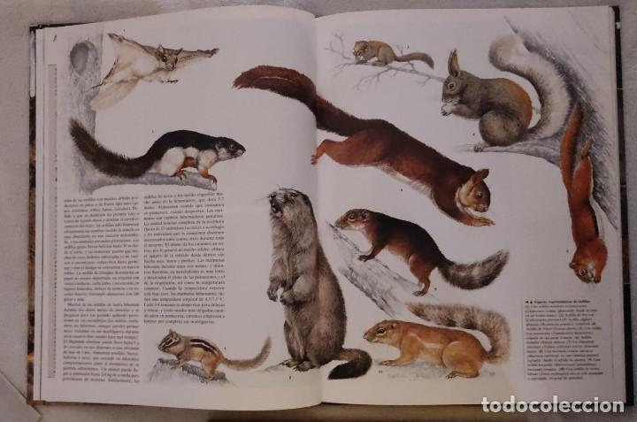 Libros de segunda mano: Enciclopedia de los Animales. - Foto 4
