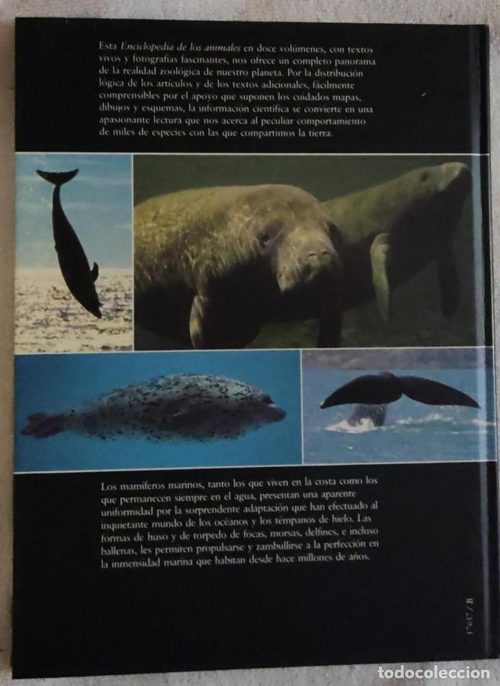 Libros de segunda mano: Enciclopedia de los animales. - Foto 3
