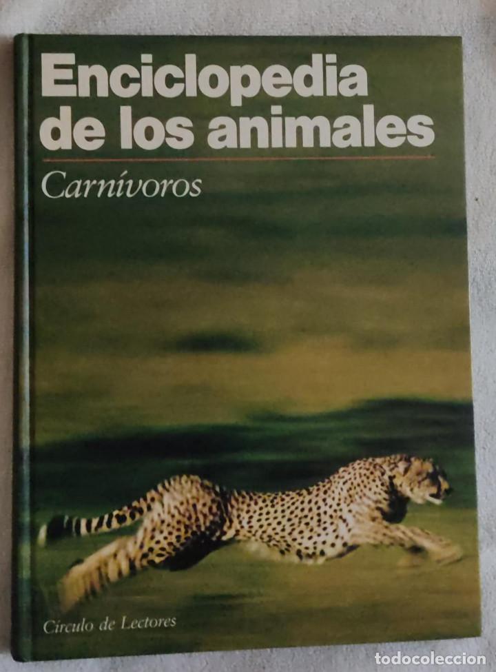 Libros de segunda mano: Enciclopedia de los animales. - Foto 1