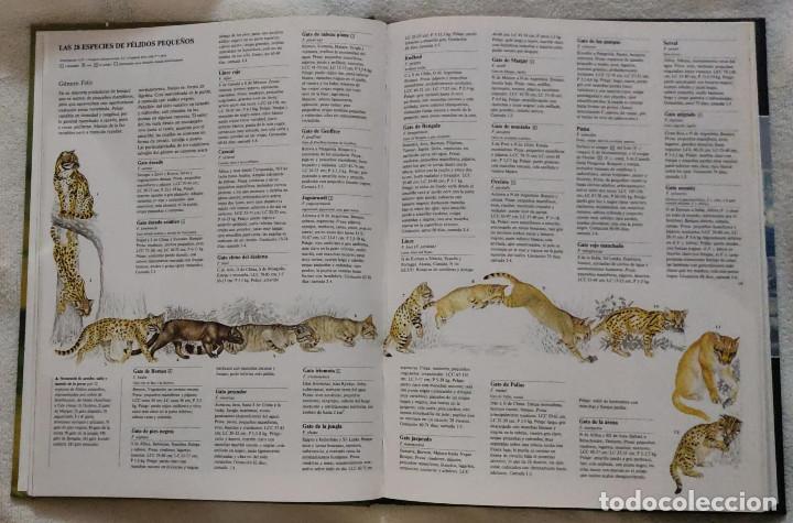 Libros de segunda mano: Enciclopedia de los animales. - Foto 4