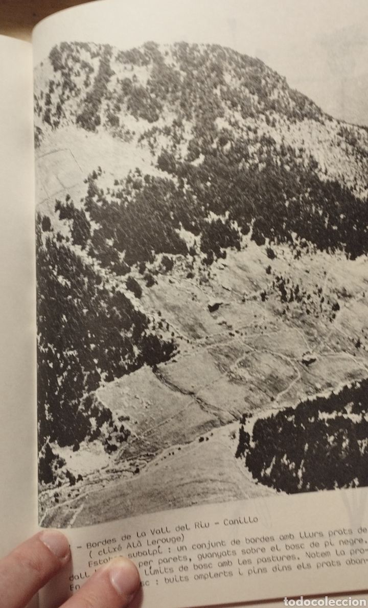 Libros de segunda mano: PRIMER HERBARI DE LA FLORA DANDORRA - 1987 - Foto 4