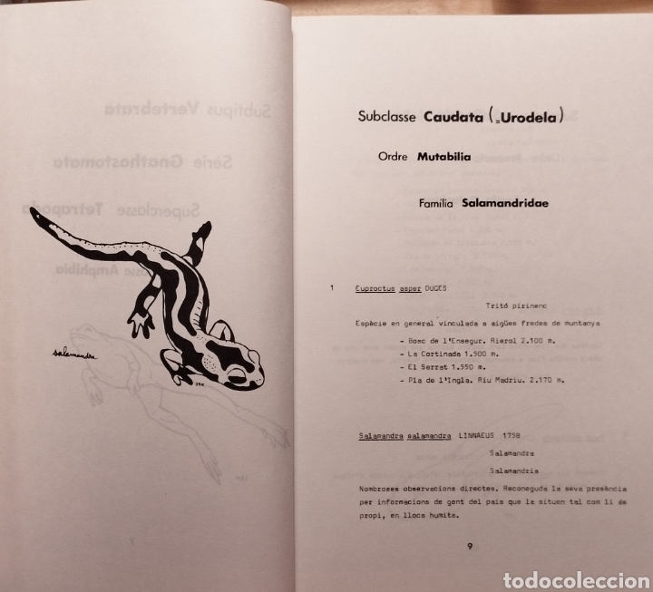 Libros de segunda mano: INTRODUCCI&Oacute; A LA FAUNA DANDORRA - 1987 - Foto 3