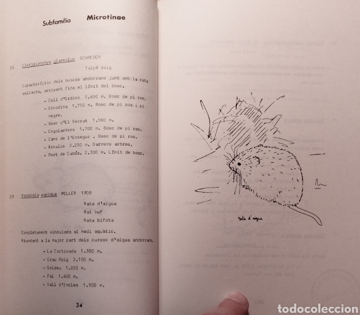 Libros de segunda mano: INTRODUCCI&Oacute; A LA FAUNA DANDORRA - 1987 - Foto 4