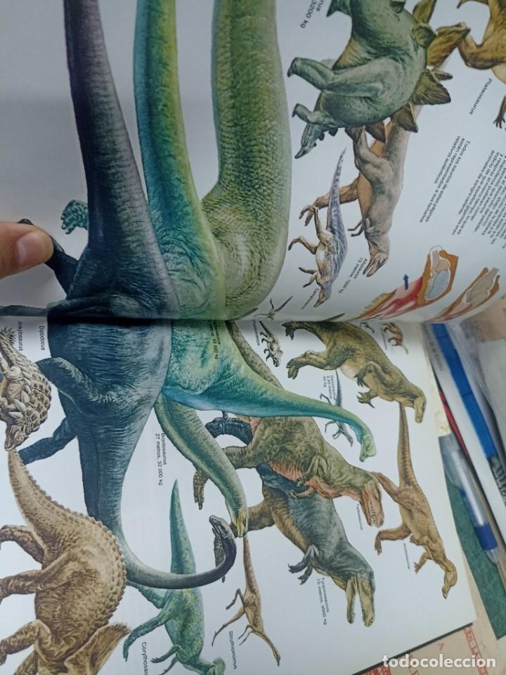 Libros de segunda mano: Gunter Haaf. La nueva historia de Ad&aacute;n y Eva. - Foto 2