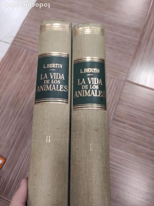 Libros de segunda mano: LA VIDA DE LOS ANIMALES - LEON BERTIN - EDITORIAL LABOR - TOMOS 1 Y 2 - Foto 1