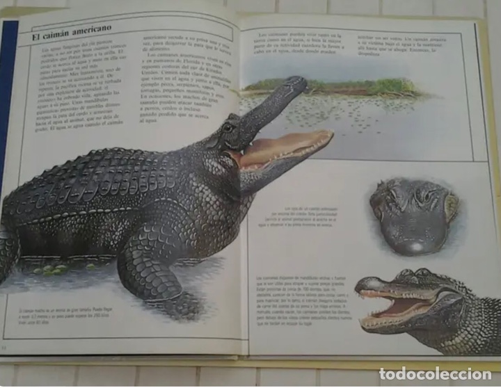 Libros de segunda mano: LIBRO ANIMALES EN ACCI&Oacute;N. NUEVO - Foto 3