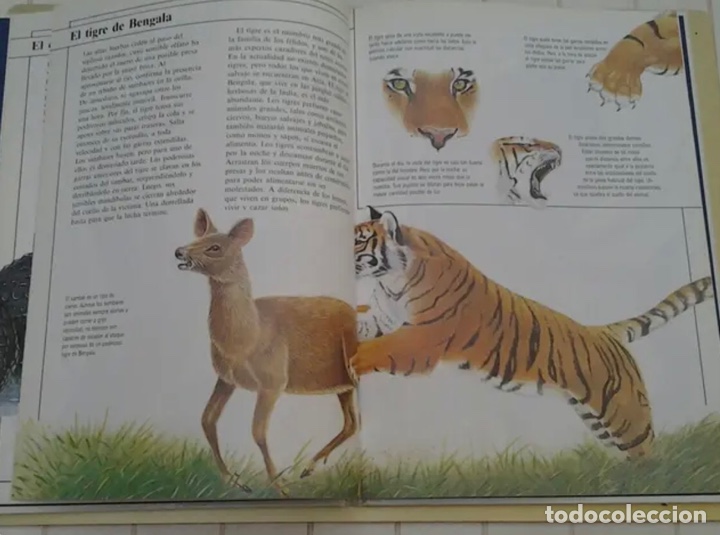 Libros de segunda mano: LIBRO ANIMALES EN ACCI&Oacute;N. NUEVO - Foto 4