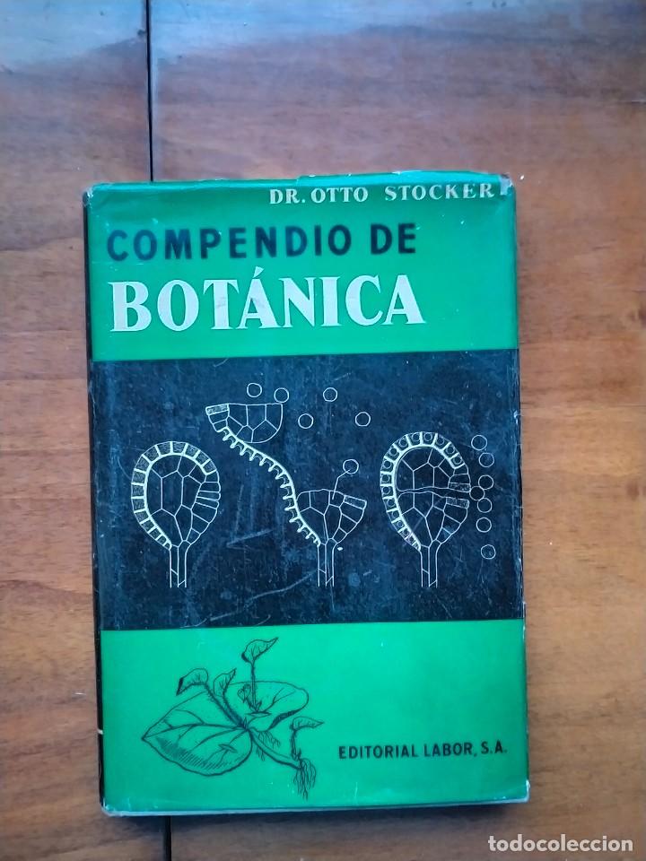 Libros de segunda mano: Compendio de bot&aacute;nica. Dr. Otto Stocker. Labor. - Foto 1