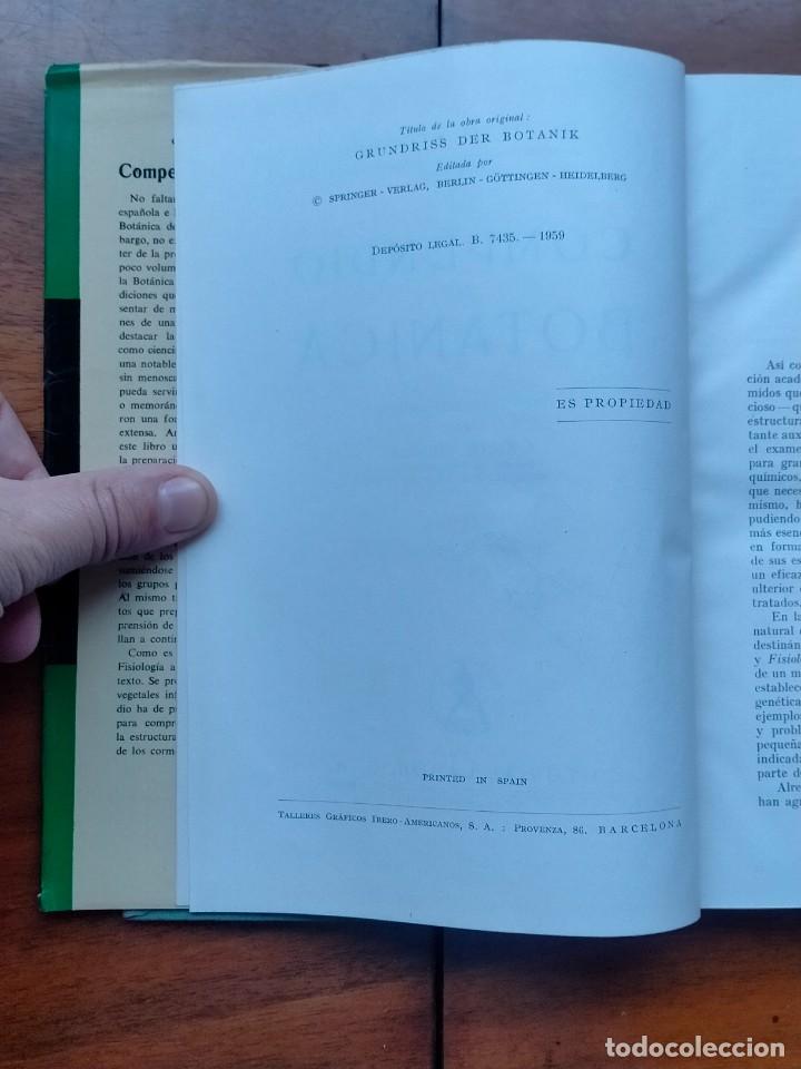 Libros de segunda mano: Compendio de bot&aacute;nica. Dr. Otto Stocker. Labor. - Foto 3
