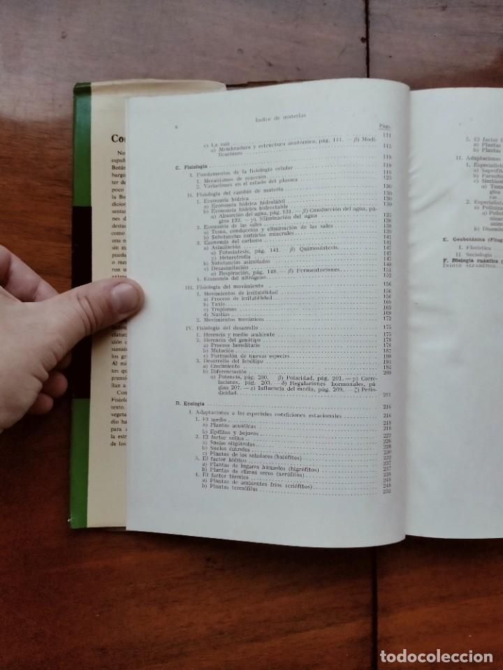 Libros de segunda mano: Compendio de bot&aacute;nica. Dr. Otto Stocker. Labor. - Foto 5