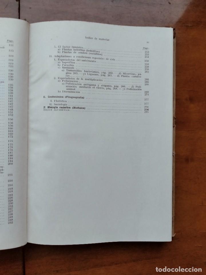 Libros de segunda mano: Compendio de bot&aacute;nica. Dr. Otto Stocker. Labor. - Foto 6