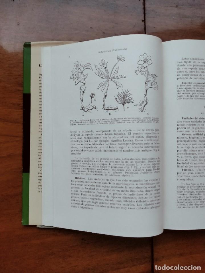 Libros de segunda mano: Compendio de bot&aacute;nica. Dr. Otto Stocker. Labor. - Foto 7