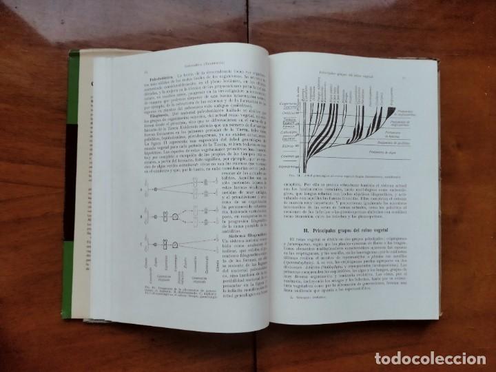 Libros de segunda mano: Compendio de bot&aacute;nica. Dr. Otto Stocker. Labor. - Foto 8
