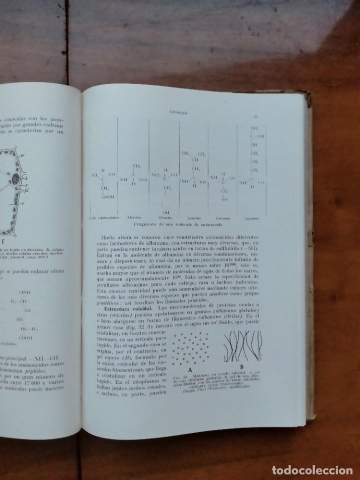 Libros de segunda mano: Compendio de bot&aacute;nica. Dr. Otto Stocker. Labor. - Foto 9