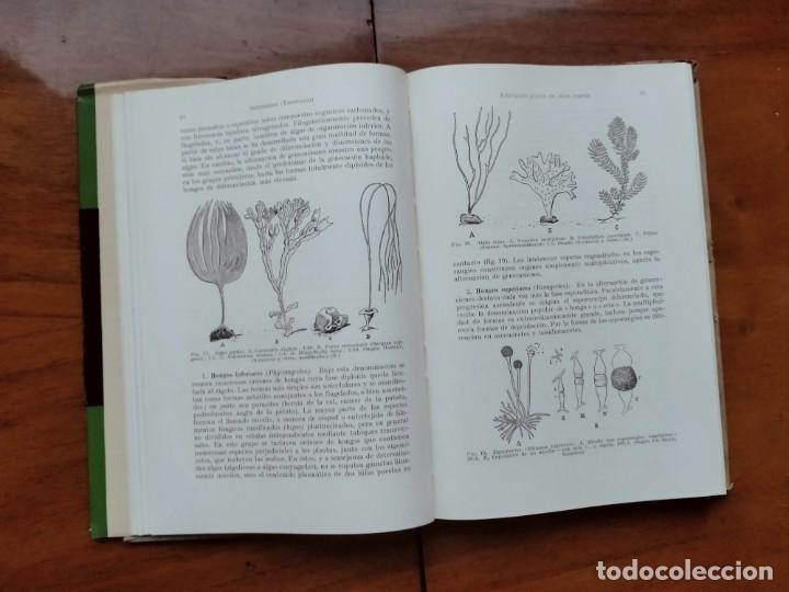 Libros de segunda mano: Compendio de bot&aacute;nica. Dr. Otto Stocker. Labor. - Foto 10