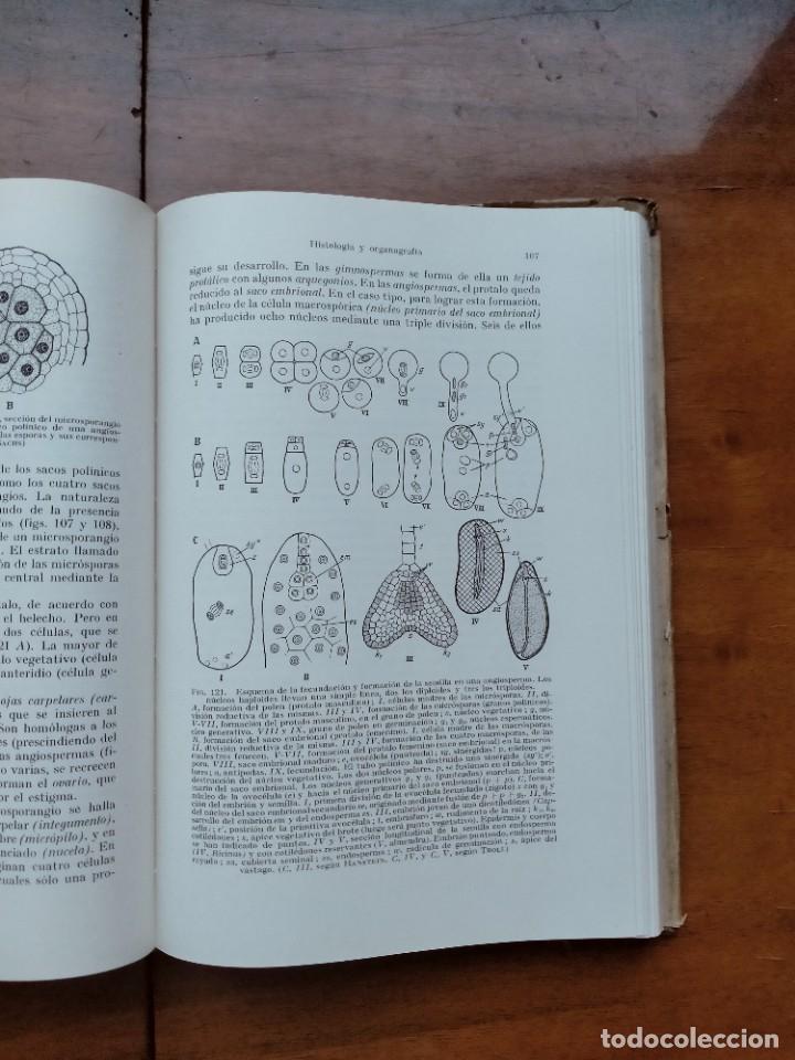 Libros de segunda mano: Compendio de bot&aacute;nica. Dr. Otto Stocker. Labor. - Foto 11