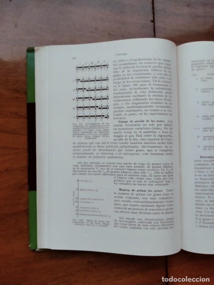 Libros de segunda mano: Compendio de bot&aacute;nica. Dr. Otto Stocker. Labor. - Foto 12