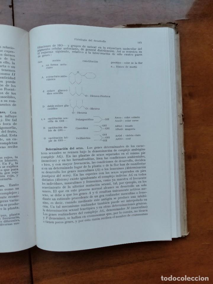 Libros de segunda mano: Compendio de bot&aacute;nica. Dr. Otto Stocker. Labor. - Foto 13