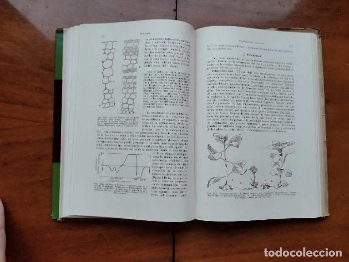 Libros de segunda mano: Compendio de bot&aacute;nica. Dr. Otto Stocker. Labor. - Foto 14