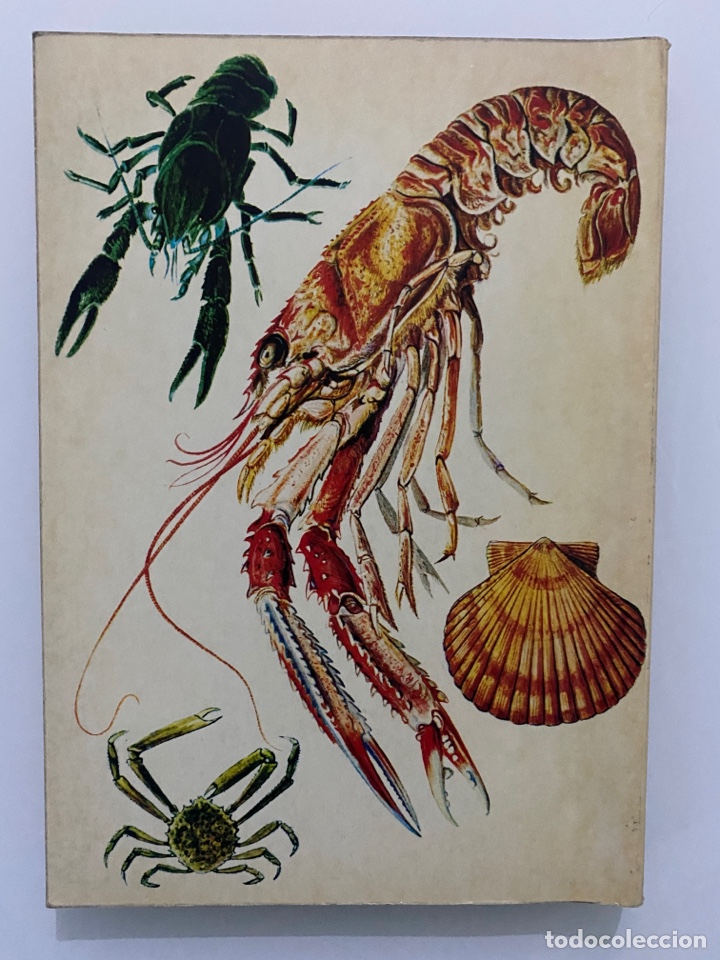 Libros de segunda mano: Los mariscos - LOTINA BENGURIA, Roberto - Foto 2