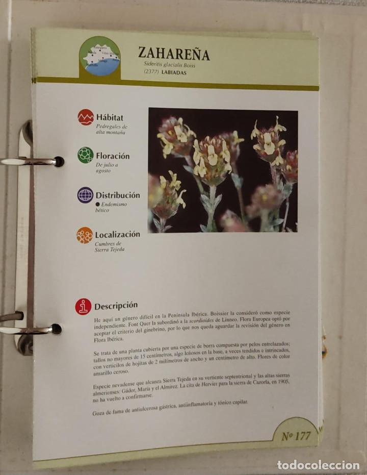 Libros de segunda mano: FLORES DE M&Aacute;LAGA. - Foto 4