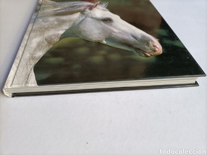 Libros de segunda mano: El caballo un esp&iacute;ritu libre .... ENV&Iacute;O GRATIS CERT ESPA&Ntilde;A PEN&Iacute;NSULA.... CABALLOS - Foto 2