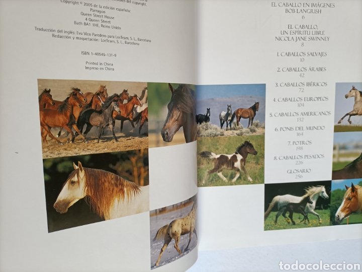 Libros de segunda mano: El caballo un esp&iacute;ritu libre .... ENV&Iacute;O GRATIS CERT ESPA&Ntilde;A PEN&Iacute;NSULA.... CABALLOS - Foto 6