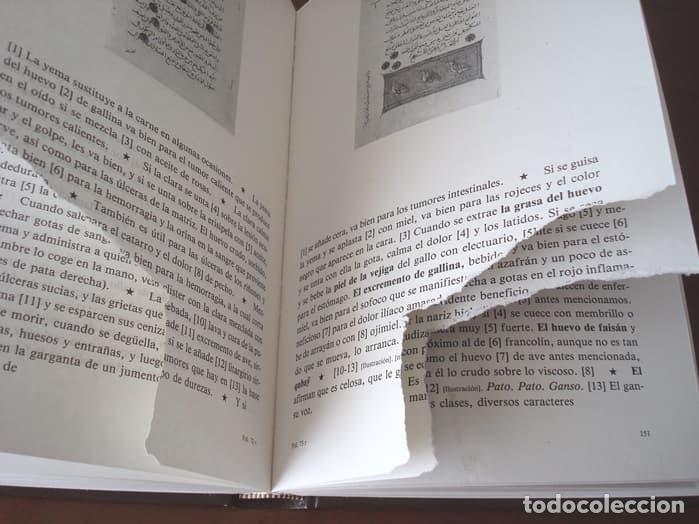 Libros de segunda mano: Libro estudio del Libro de las utilidades de los animales, c&oacute;dice &aacute;rabe, a&ntilde;o 1354 (con da&ntilde;os) - Foto 7