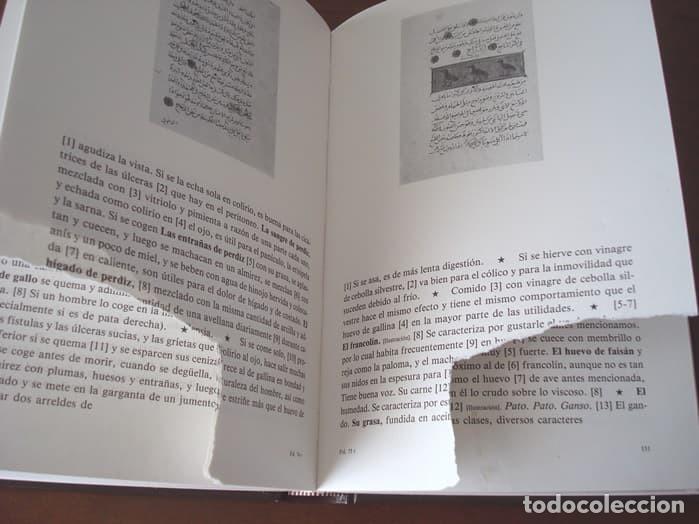 Libros de segunda mano: Libro estudio del Libro de las utilidades de los animales, c&oacute;dice &aacute;rabe, a&ntilde;o 1354 (con da&ntilde;os) - Foto 8