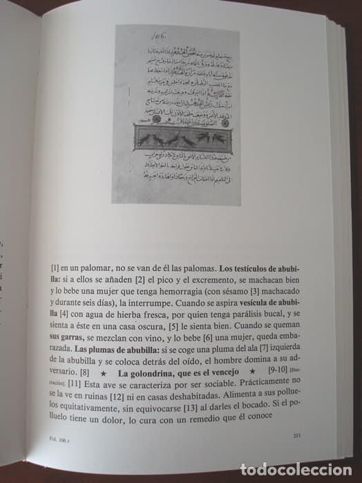 Libros de segunda mano: Libro estudio del Libro de las utilidades de los animales, c&oacute;dice &aacute;rabe, a&ntilde;o 1354 (con da&ntilde;os) - Foto 9
