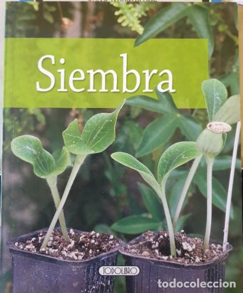Libros de segunda mano: SIEMBRA. - BROCHARD, Daniel. - Foto 1