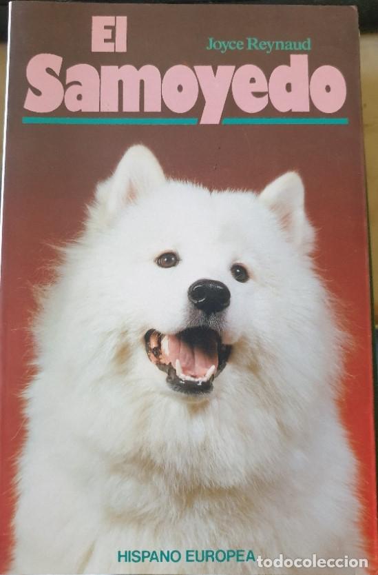 Libros de segunda mano: EL SAMOYEDO. - REYNAUD, Joyce. - Foto 1