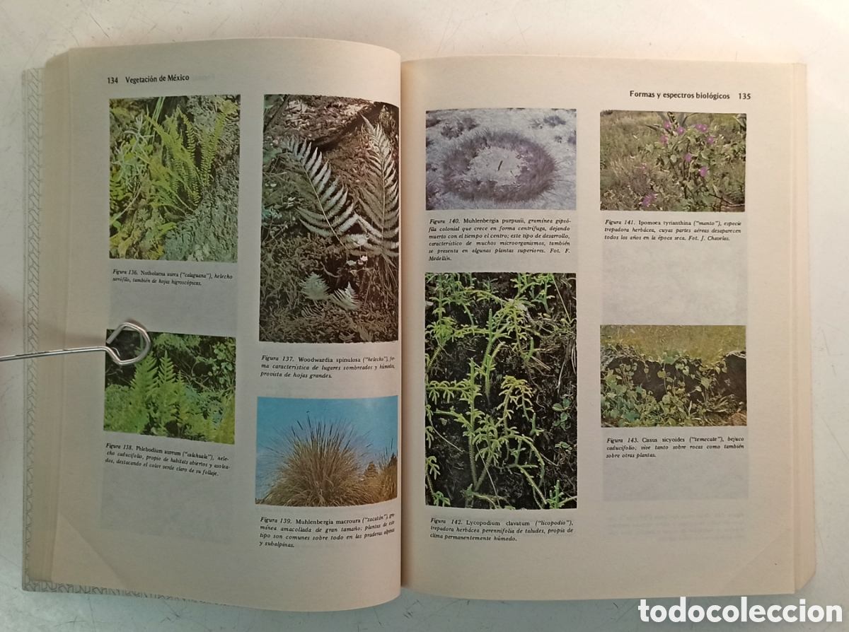 Libros de segunda mano: Vegetaci&oacute;n de M&eacute;xico. Jerzy Rzedowski. Bot&aacute;nica. - Foto 9