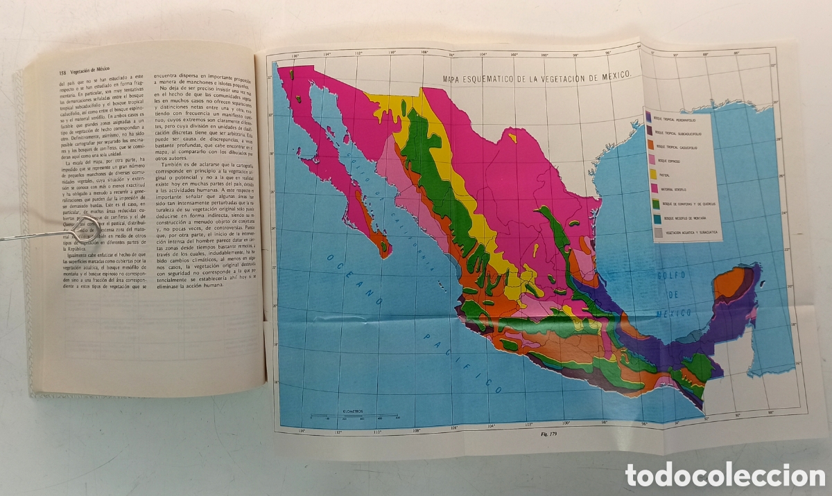 Libros de segunda mano: Vegetaci&oacute;n de M&eacute;xico. Jerzy Rzedowski. Bot&aacute;nica. - Foto 10