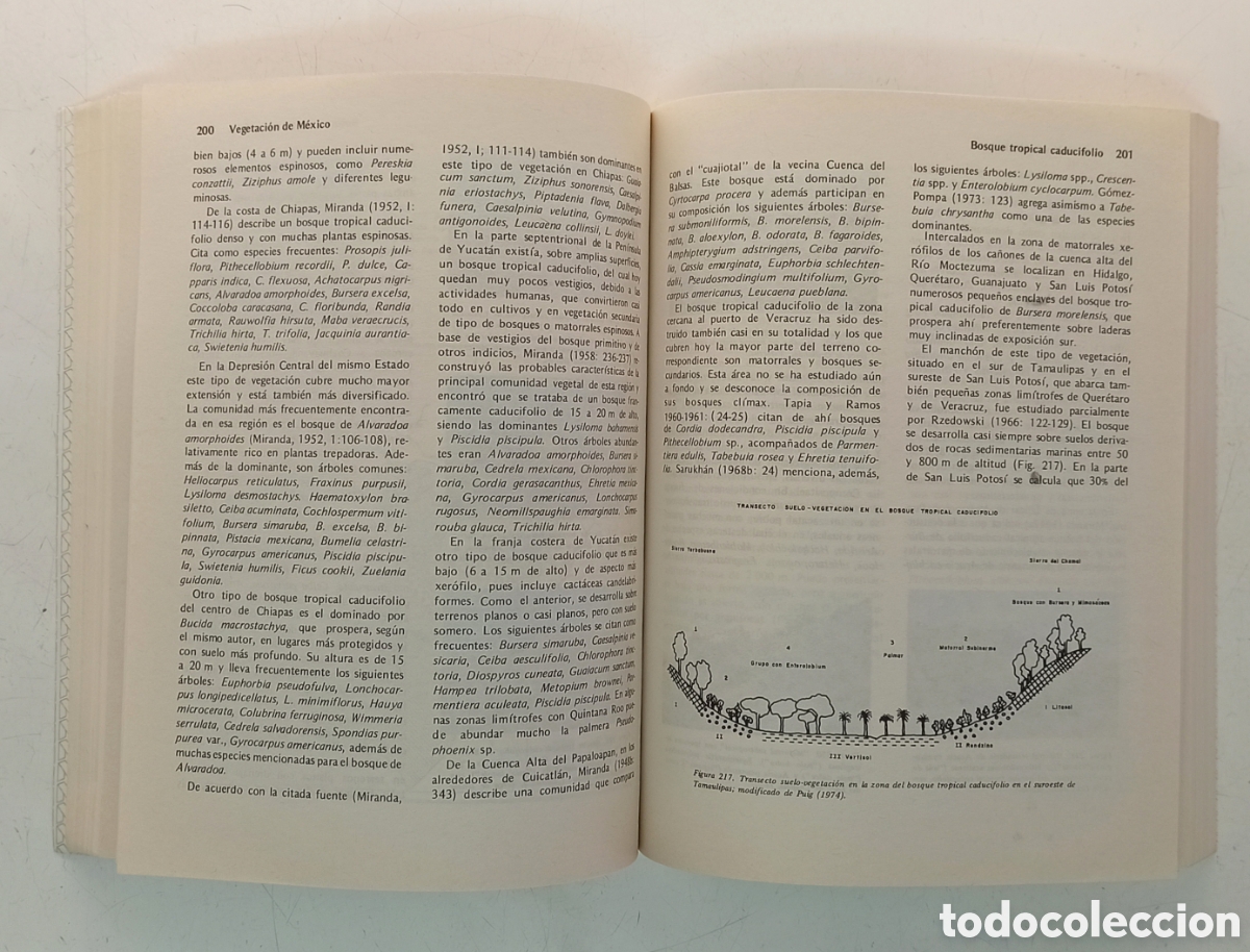 Libros de segunda mano: Vegetaci&oacute;n de M&eacute;xico. Jerzy Rzedowski. Bot&aacute;nica. - Foto 11