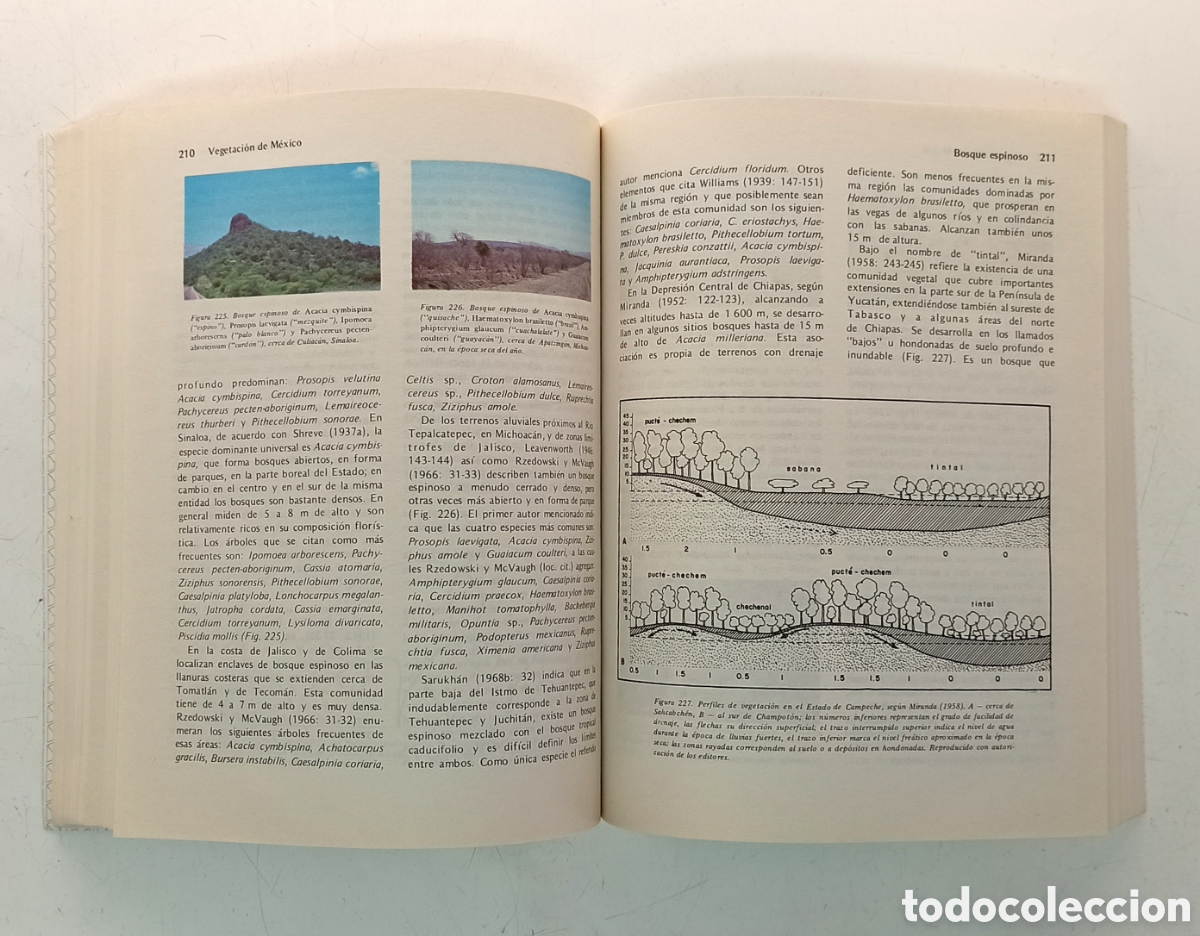 Libros de segunda mano: Vegetaci&oacute;n de M&eacute;xico. Jerzy Rzedowski. Bot&aacute;nica. - Foto 12