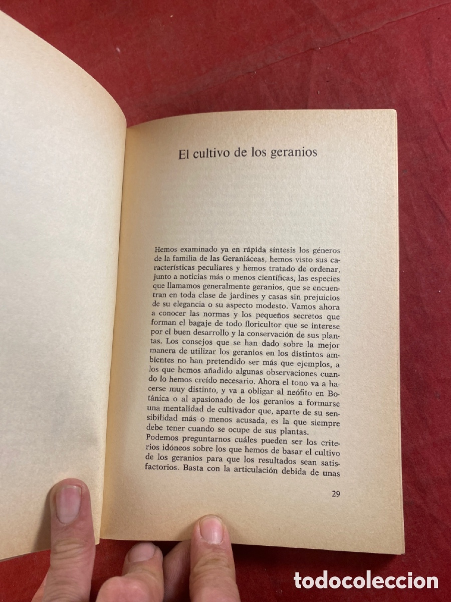 Libros de segunda mano: LOS GERANIOS - Foto 5