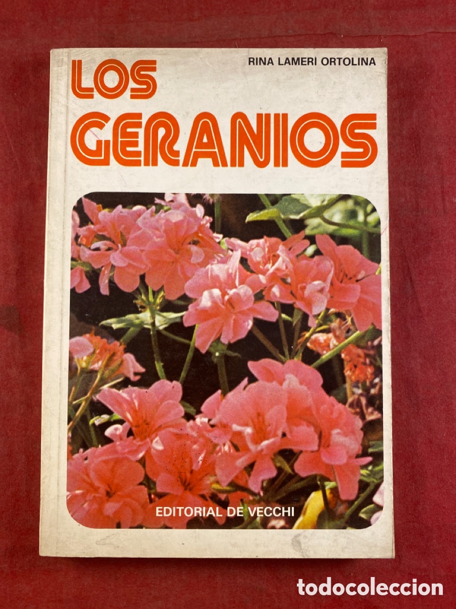 Libros de segunda mano: LOS GERANIOS - Foto 1