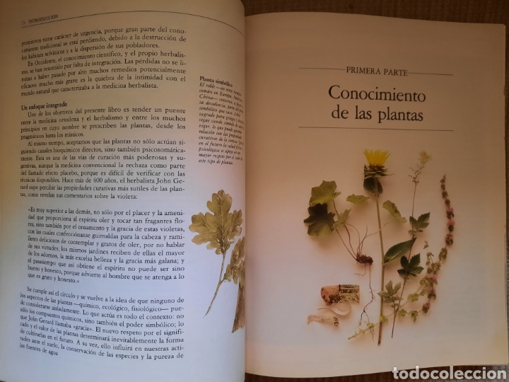 Libros de segunda mano: LA NUEVA ERA DE LAS HIERBAS - Foto 2