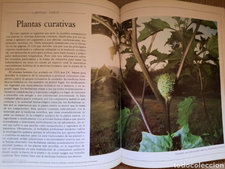 Libros de segunda mano: LA NUEVA ERA DE LAS HIERBAS - Foto 3