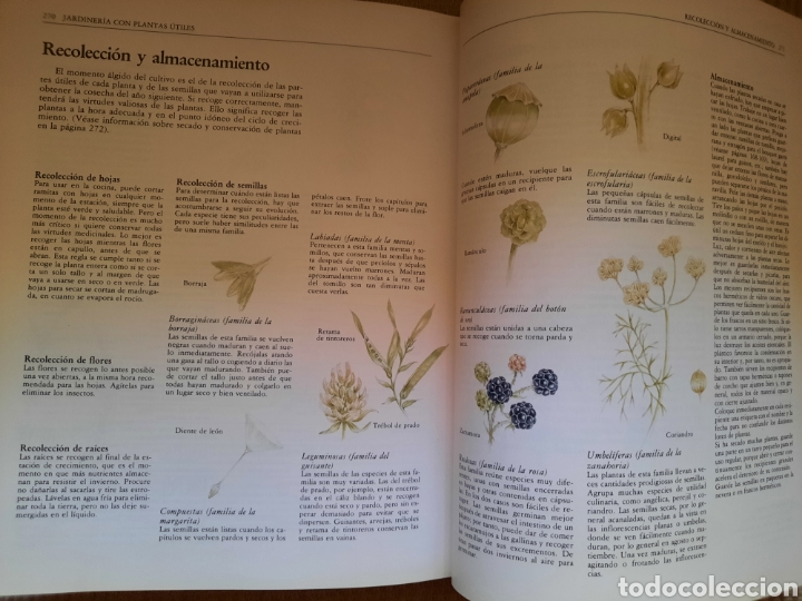 Libros de segunda mano: LA NUEVA ERA DE LAS HIERBAS - Foto 4
