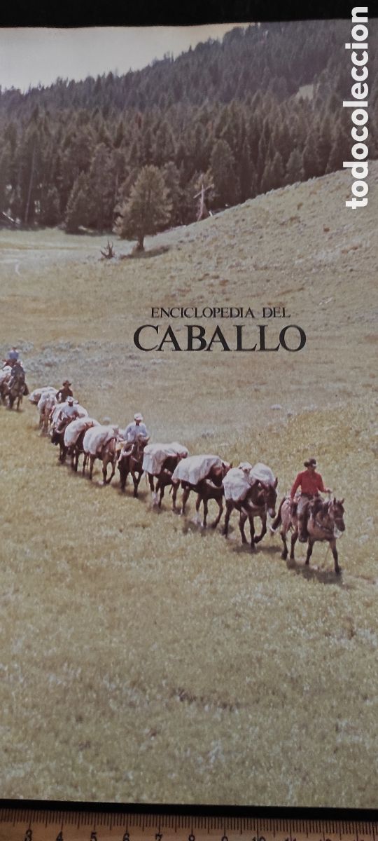 Libros de segunda mano: Enciclopedia del caballo. Es Blume - Foto 6