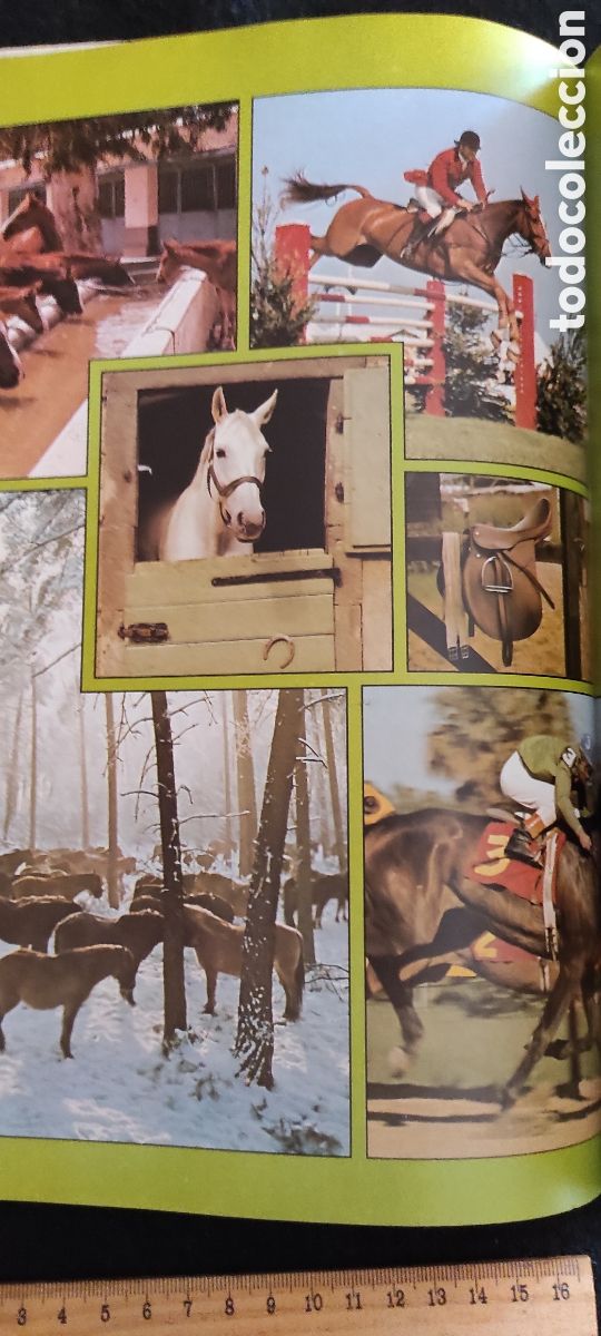 Libros de segunda mano: Enciclopedia del caballo. Es Blume - Foto 9
