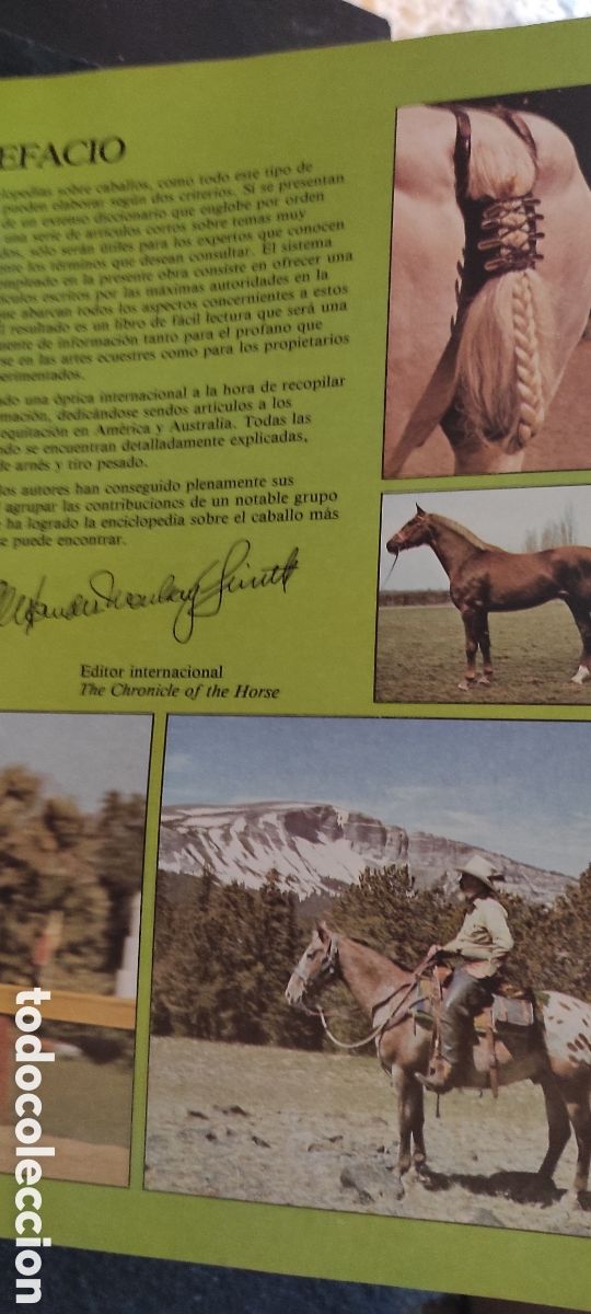 Libros de segunda mano: Enciclopedia del caballo. Es Blume - Foto 10