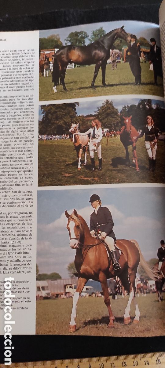 Libros de segunda mano: Enciclopedia del caballo. Es Blume - Foto 13