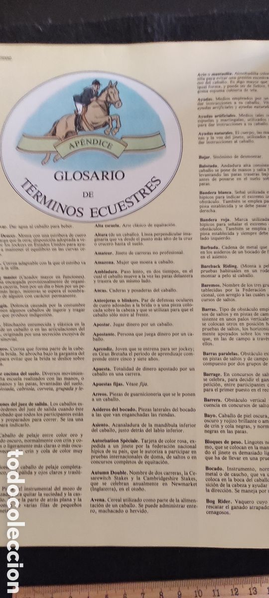 Libros de segunda mano: Enciclopedia del caballo. Es Blume - Foto 14
