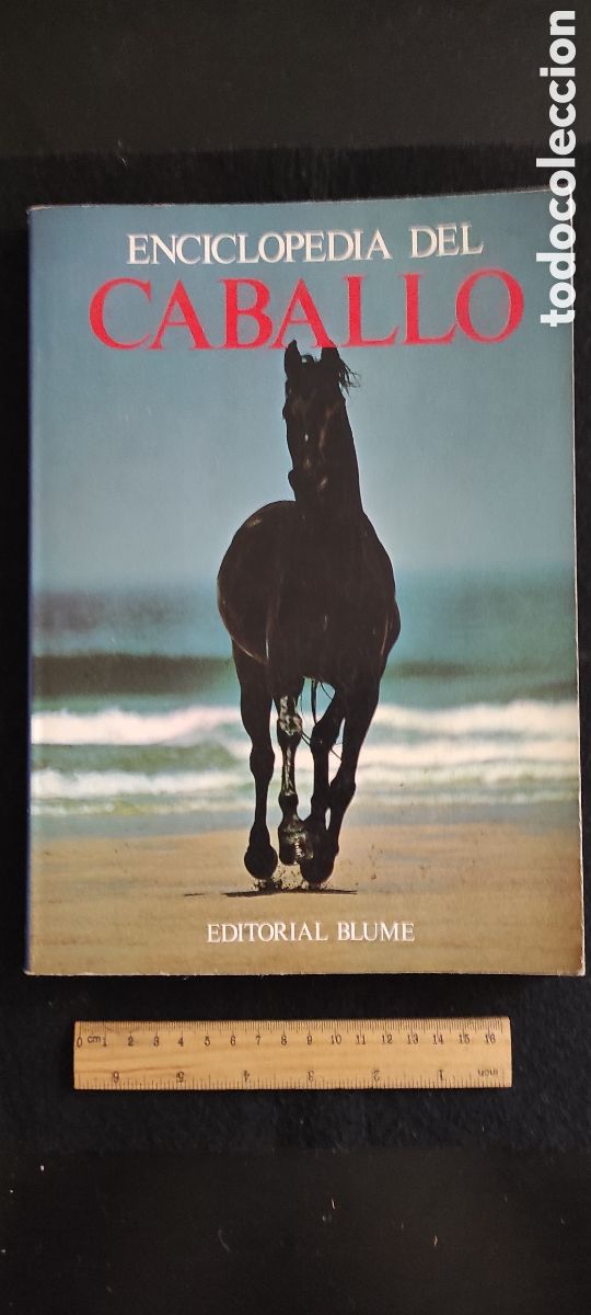 Libros de segunda mano: Enciclopedia del caballo. Es Blume - Foto 1
